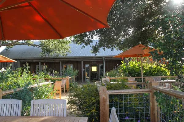 Beyond the Vines: Uncovering Napa Valley’s Sustainable Wine Tasting Journeys (2025 Edition) Cover